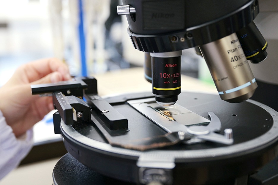 Asbestos Testing